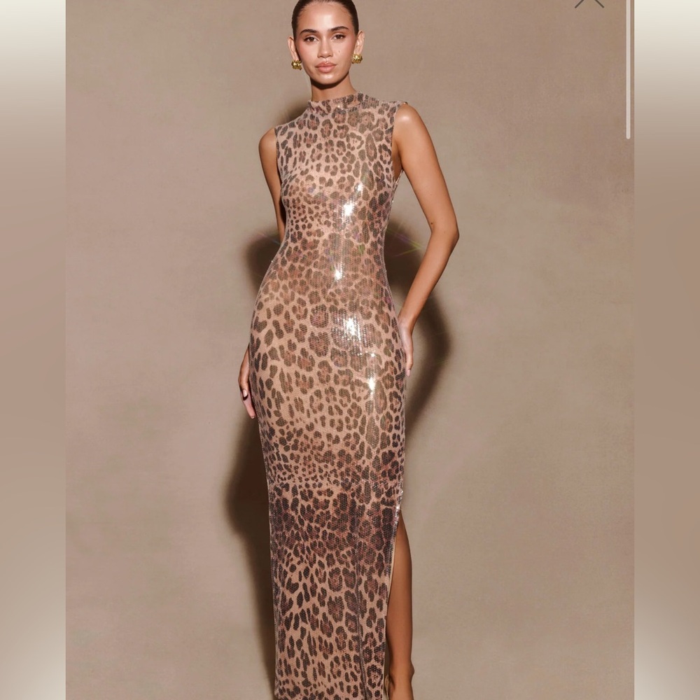 Meshki Print Sequin Dress